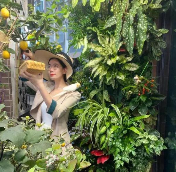 90后|第一批“居家种菜”的“90后”,已经成了“蔬果大户”……