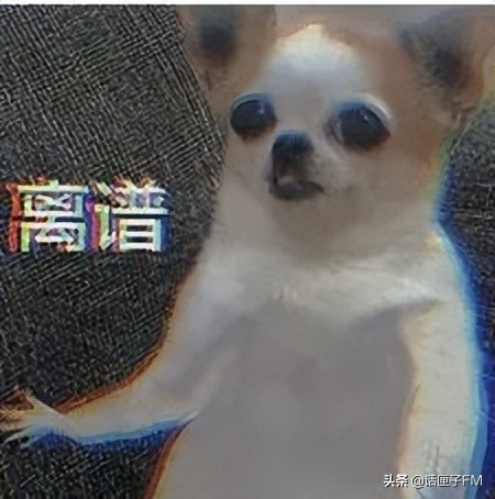 买房|上海小夫妻竟各自背着对方和别人结婚买房?原来背后有黑手