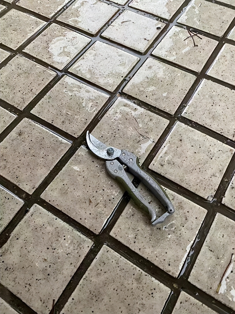 扳手|吓煞人!扳手从天而降砸中雨伞 居民:小区高空抛物远非第一次