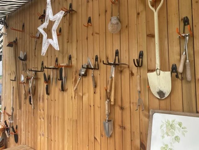 myfarm|上海又一奇景！白领在陆家嘴种菜喂鸡，还要付“入场费”：1.4万元认领1.44m2