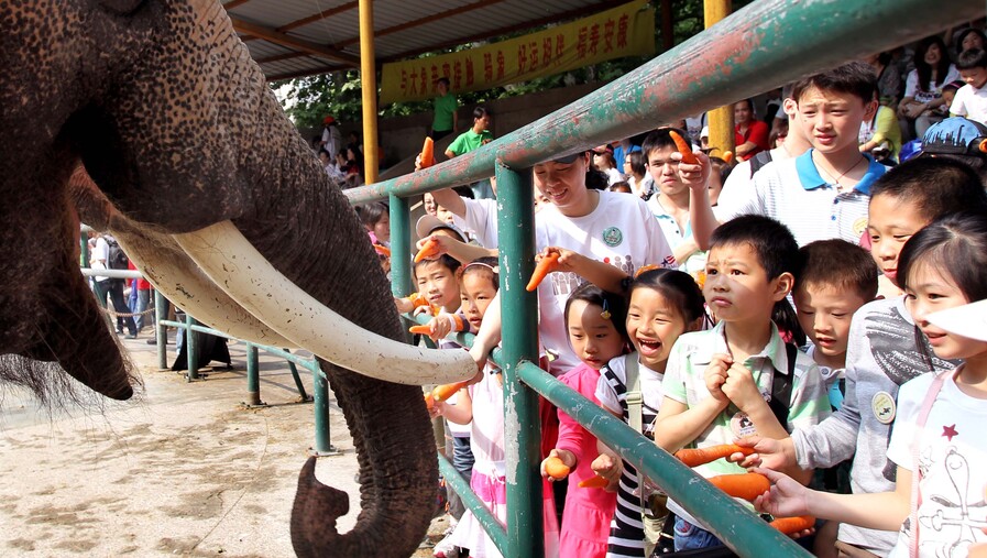 尚文路|满满的回忆!没有去过西郊公园的上海娃,童年是不完整的