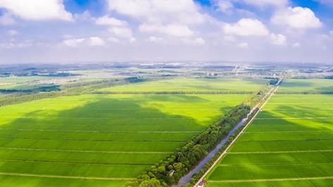 |百联持续深入打造供应链 共建城市美好生活