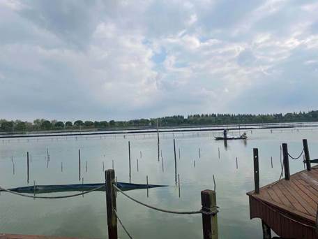 |百联持续深入打造供应链 共建城市美好生活