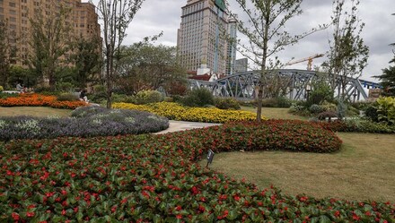 1902|上海市中心，原本废弃的地铁上架变成网红打卡地？百年南昌路再添新景！