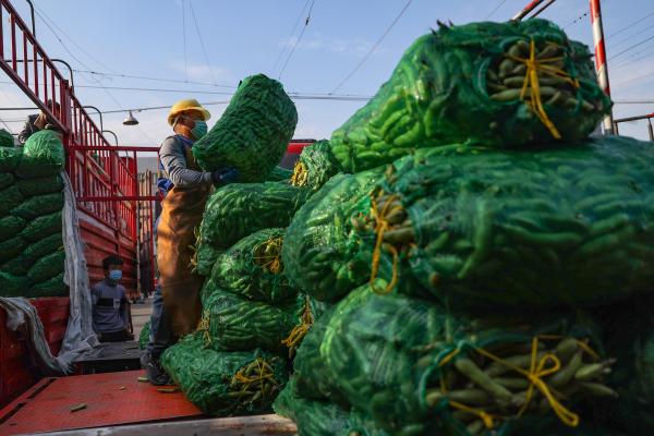 蔬菜批发市场|供应充足,蚕豆竹笋最好卖,上海蔬菜价格本周开始下降……