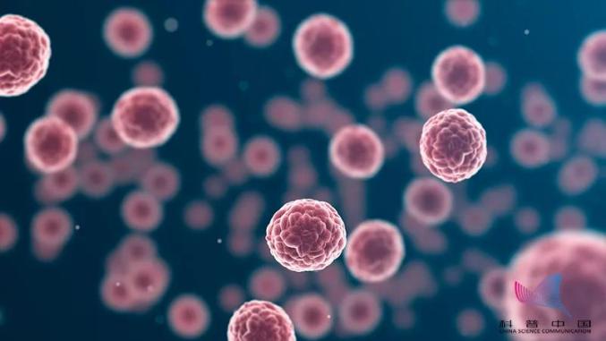 |震惊!有些人“天生”就比别人更易患癌……