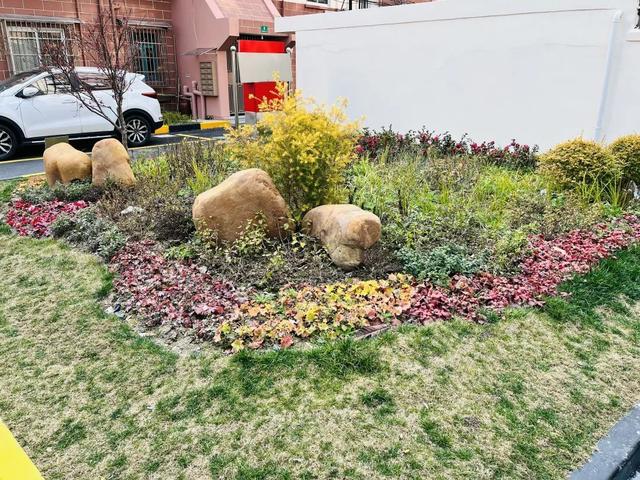 美丽家园|虹口这个街道今年美丽家园改造,将惠及32个小区1万3千多户居民