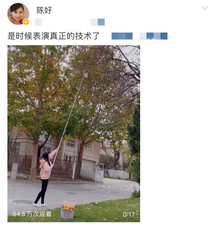 身材凹凸|＂万人迷＂陈好秀摘柿子技能 41岁身材依旧少女