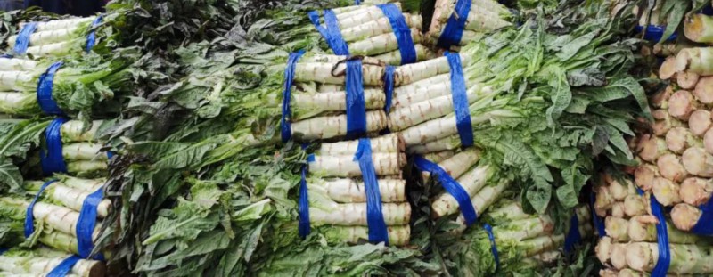 石湖荡|上海人民有福气了！200余吨新鲜果蔬到货！