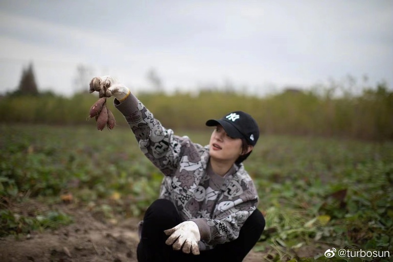 剧组|孙俪曾在剧组救下一头驴 曾将流浪猫送给舅公养