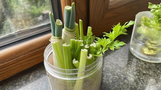 蔬菜瓜果|水培循环吃,延长保存期……查收这份蔬菜“使用”大法