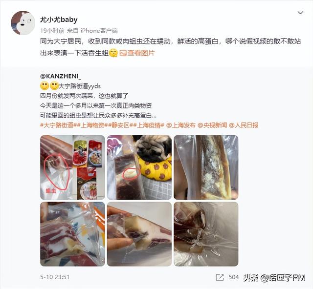 金字|严查那么久!静安区最新发放的保供物资里,“金字”咸肉生蛆?企业致歉就完了?