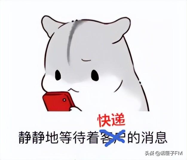 白名单|凭啥团购可以“今天下单明天到”,我的快递却永远在路上?