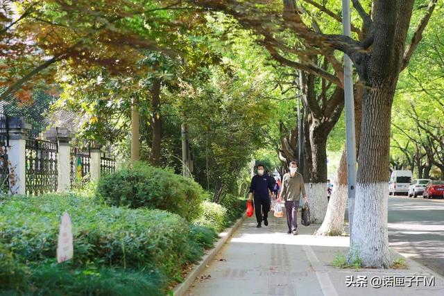 蛋饼|复商复市进行时:身边的蛋饼摊、小菜场回来了!记者实地探访