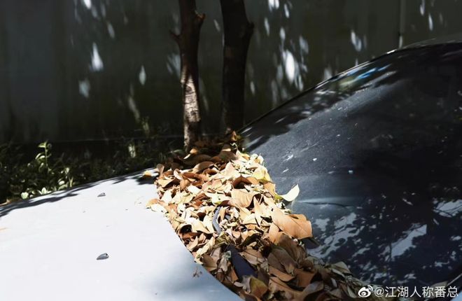 车主李|上海最倒“霉”的车?奥迪停车库2个月,车主打开车门顿时惊呆!