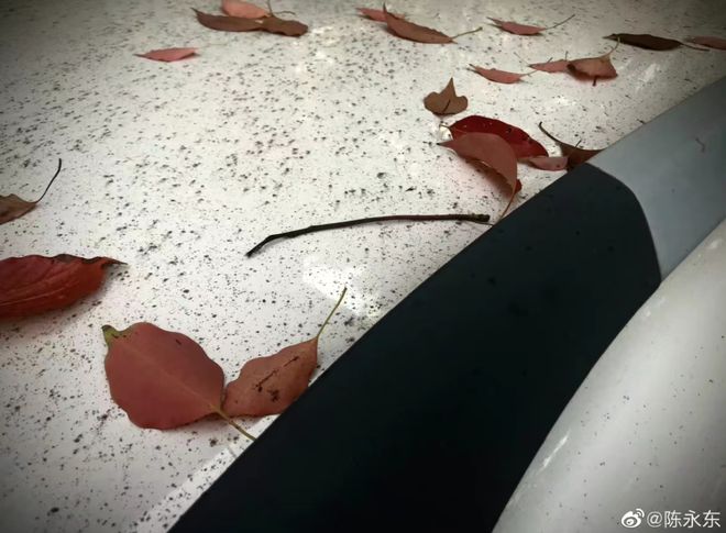 车主李|上海最倒“霉”的车?奥迪停车库2个月,车主打开车门顿时惊呆!