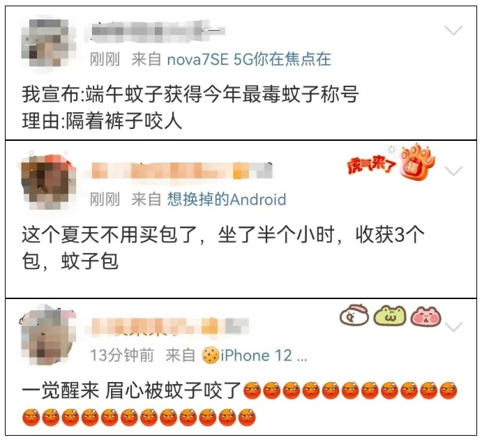 十字|蚊子最爱的不是O型血,而是……