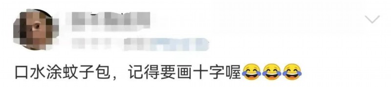 十字|蚊子最爱的不是O型血,而是……