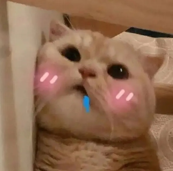 曲线堂食法|来看上海人的“曲线堂食法”,久违的烟火气