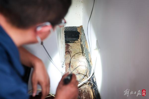 环贸|白蚁又来了,灭蚁害专家现场点评:上海老房子里有这两条,就要当心了……