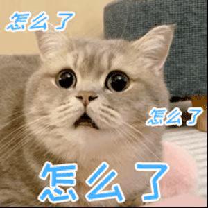 银行网点|凌晨2点，老人门前排队等号！上海各家银行网点“排队难题”这样解决