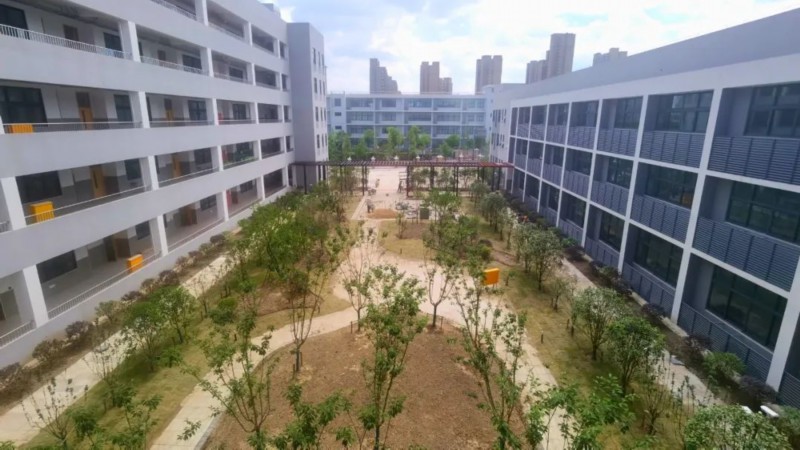 A-D|定了!交大附中附属嘉定洪德中学7月交付