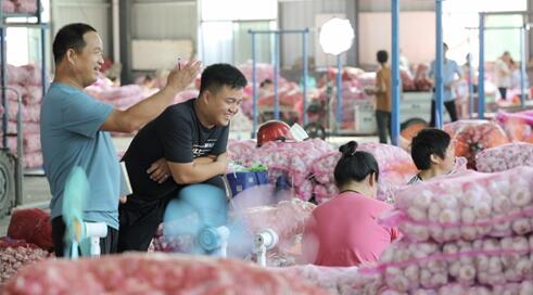 |金乡大蒜线上拼出圈后:一业旺,百业兴,蒜农笑逐颜开