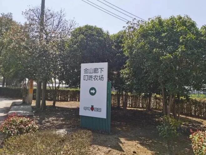 蔬菜品质|叮咚、盒马又运力紧张了?看完你就知道原因了