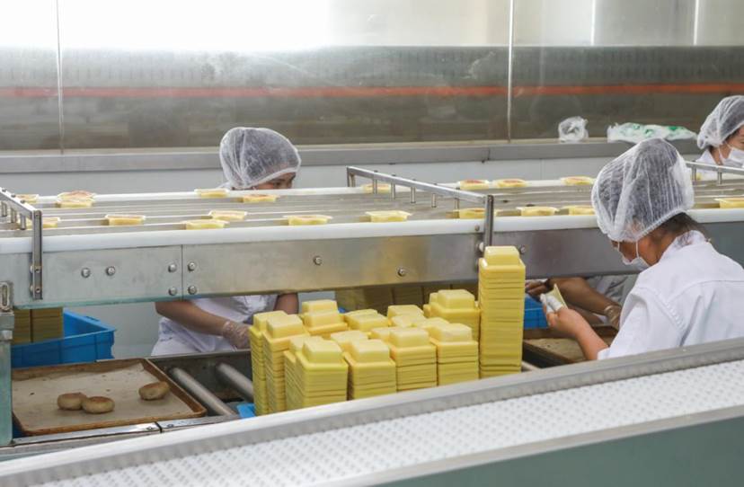 |功德林净素月饼上线 人世间,唯美味与信念不可辜负