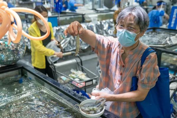 半咸水|陆地也能养虾?闭关三年,他终于攻克这一难题