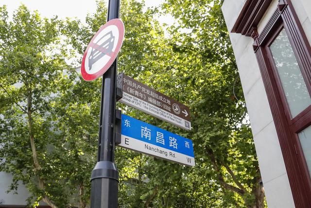 穹顶|夏日“空调路”,林荫道里藏着的小清新