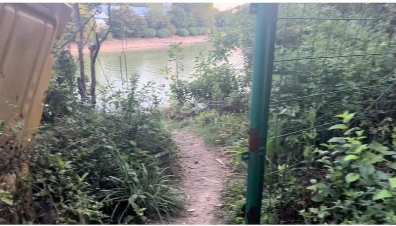 野生|杨浦嘉定多处水域成“野泳胜地”:有人翻栅栏进入,但同时溺亡事件不断……