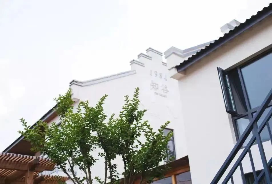 慢生活|上海乡村民宿“不温不火”？崇明告诉你答案！