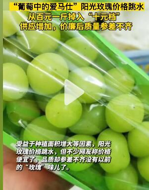 玫瑰|“葡萄中的爱马仕”价格跳水后,质量也不一样了
