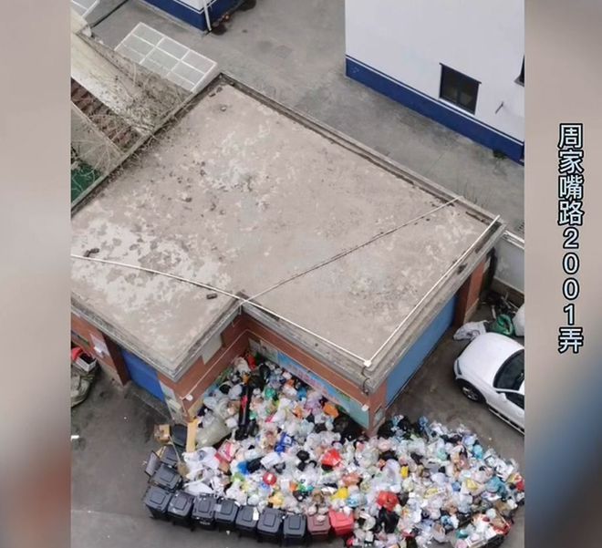 上海两小区“垃圾山”堆半个月,面对两难困境,怎么办?——上海热线消费频道