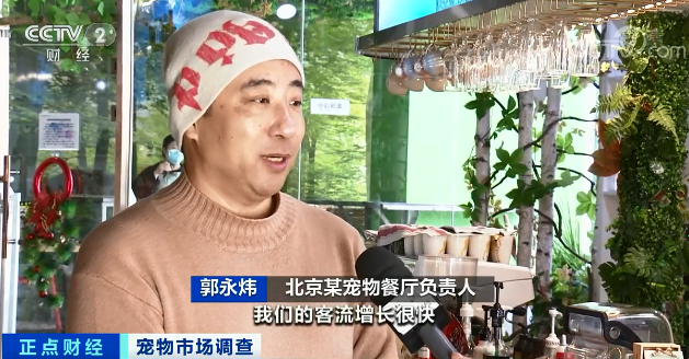 羊驼|太火爆!这类店铺,客流量暴增!人均消费百元起步!20-30岁用户占六成!你去过吗?