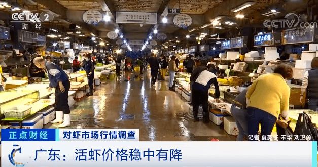 水产公司|这种海鲜卖爆了!价格腰斩!出多少,卖多少!有品类销量暴增超200%!你买了吗?