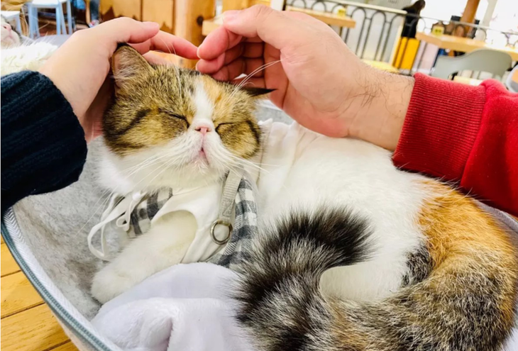 被告|男人死前转345万给堕胎前女友 结果法院这样判了