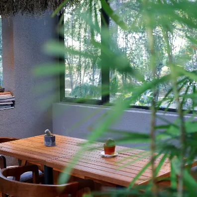 崇明|上海人不能离沪？崇明春季浪漫之旅全指南！