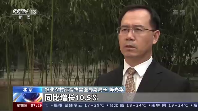 生猪生产|农业农村部:生猪生产供给充足 价格仍将持续下行