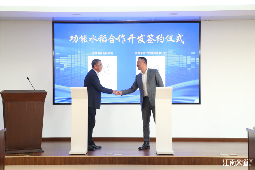 |健康生活 ，从一碗适合你的米饭开始