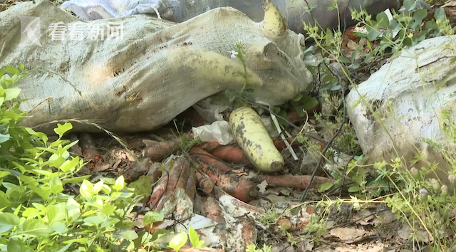 货车司机|上海发生大量包装蔬菜被丢弃？真相还原来了