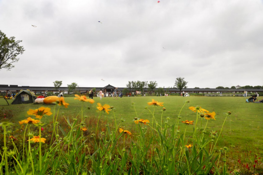 水果|骑游露营,土灶自煮,玩水派对…上海水果公园热闹了